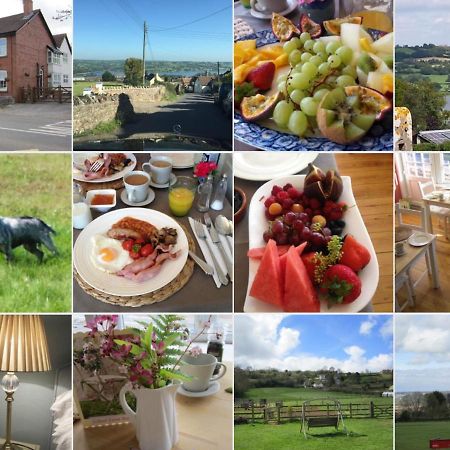School Farm Bed and Breakfast Blagdon Exteriör bild