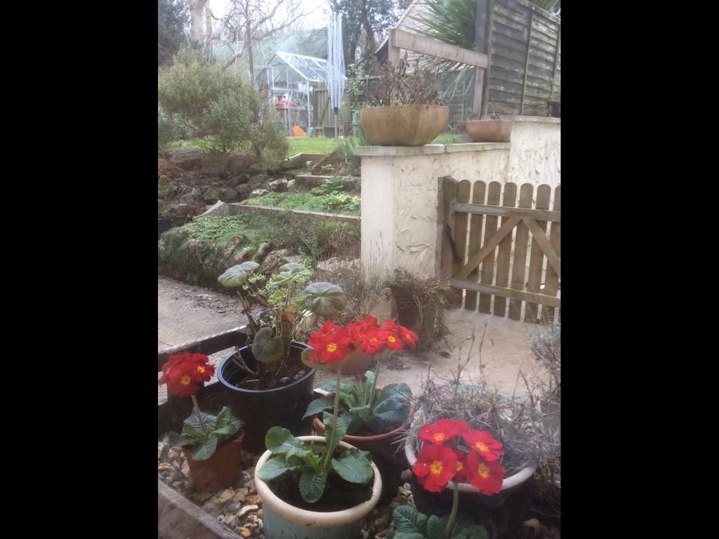 School Farm Bed and Breakfast Blagdon Exteriör bild